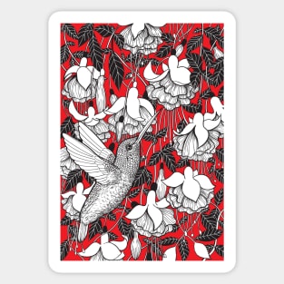 Hummingbird and fuchsia, red background Sticker